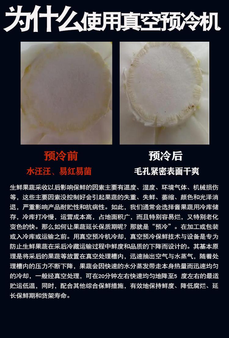 拓普欧3.jpg